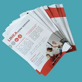 FLYERS LINEA SUISSE